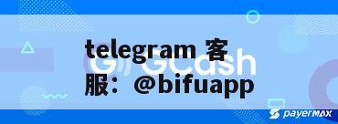 菲律宾支付通道：GCash与代收代付服务支持快速结算